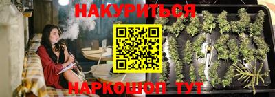 спайс Гай