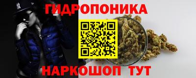 хмурый Гатчина