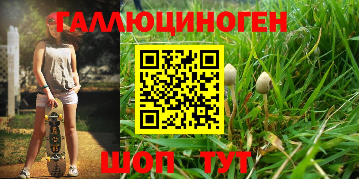 Псилоцибиновые грибы MAGIC MUSHROOMS  Галлюциногенные грибы мухоморы  Вход с VPN  Полевской 